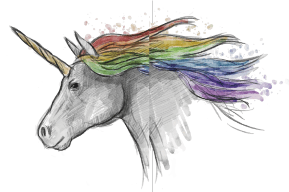 Zebras, camelos, dragões e unicórnios: O ecossistema das startups